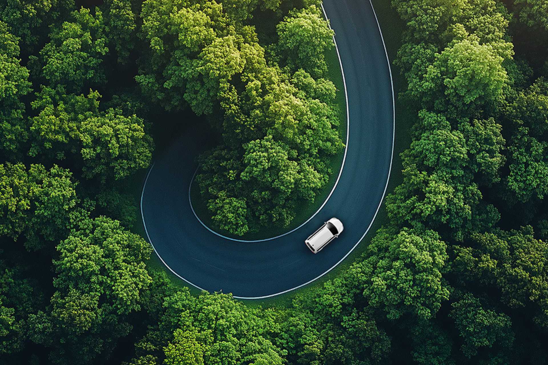Auto auf Straße